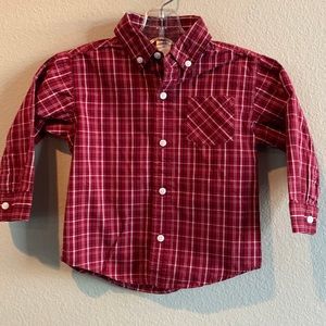 Gymboree Button Down Shirt